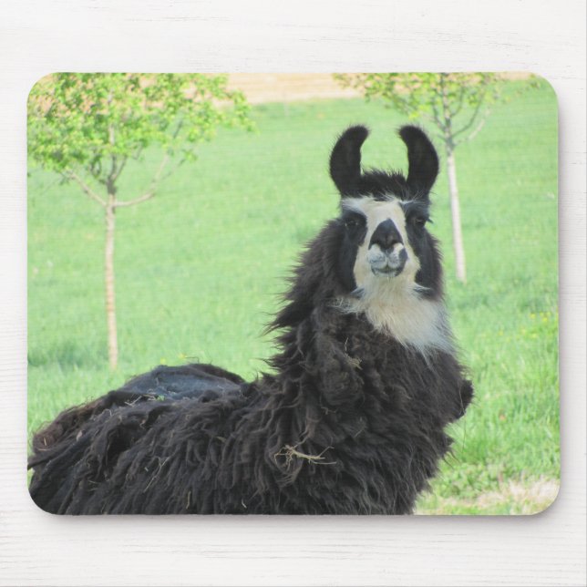 Alpaca,Llama mouse pad (Front)