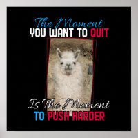 Alpaca Llama - Push Harder Encouragement