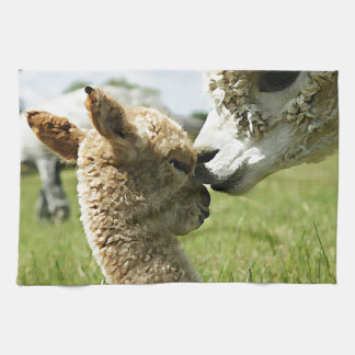 Alpaca Love Kitchen Towel