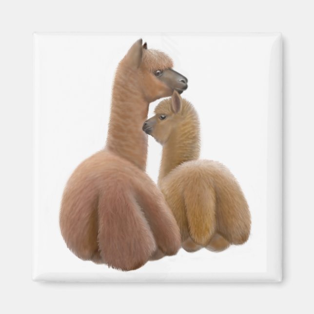 Alpaca Love Magnet (Front)