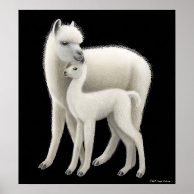Alpaca Love Poster (Front)