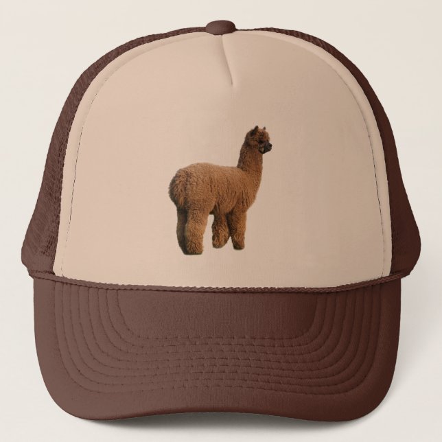 Alpaca Magic Cap (Front)
