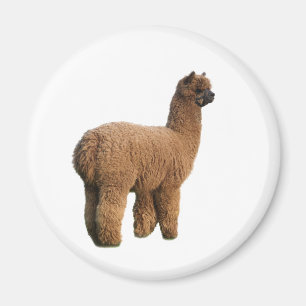 Alpaca Magic Magnet
