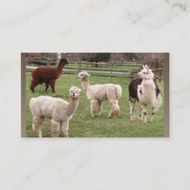 Alpaca Melange ~ biz card (Front)