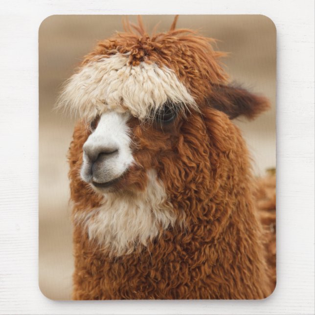 Alpaca mousepad (Front)