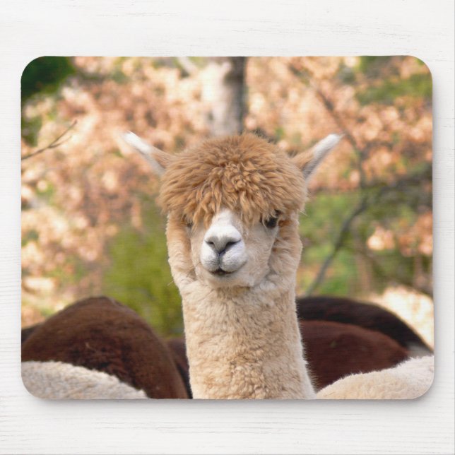 Alpaca Mousepad Belle (Front)