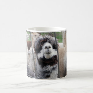 Alpaca Mug :)