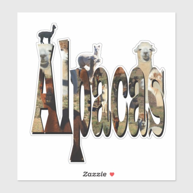 Alpaca Name With Alpacas, (Sheet)