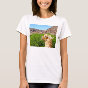 Alpaca Near Salta, Argentina T-Shirt