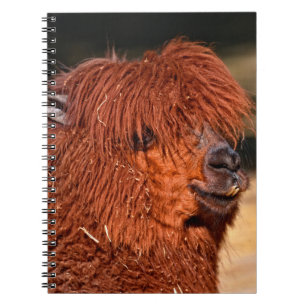 Alpaca Notebook