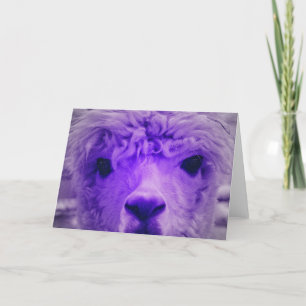 Alpaca of another colour card