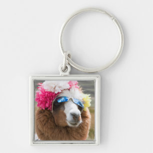 Alpaca, Pachacoto, Cordillera Blanca, Ancash Keychain