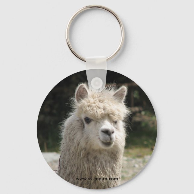 Alpaca, Parque Llaviucu, Ecuador Keychain (Front)