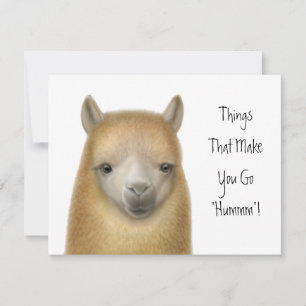 Alpaca Party Invitation