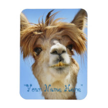 Alpaca Photo Magnet "Mets ton nom"