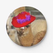 Alpaca Plates