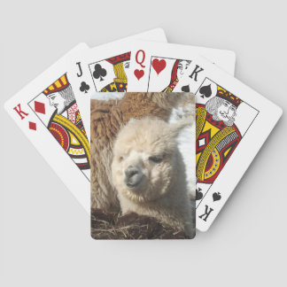 Alpaca Playing Cards