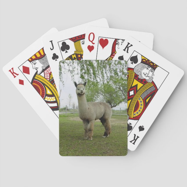 Alpaca Playing Cards (Back)