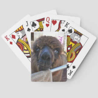 Alpaca Playing Cards
