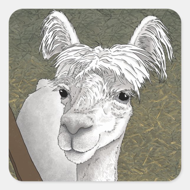 Alpaca Portrait 2 Square Sticker (Front)