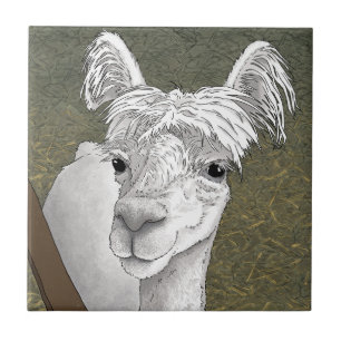 Alpaca Portrait 2 Tile