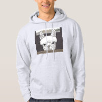 Alpaca Portrait