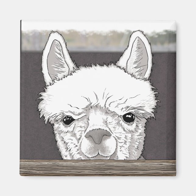 Alpaca Portrait Magnet (Front)