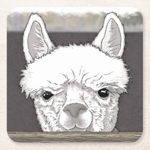 Alpaca Portrait Square Paper Coaster