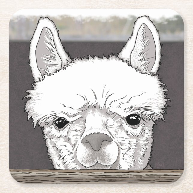 Alpaca Portrait Square Paper Coaster (Front)