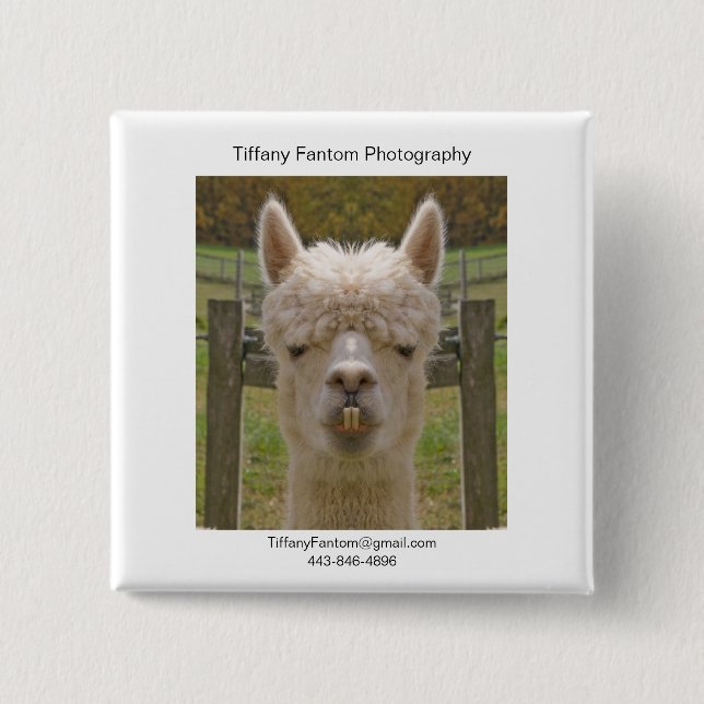 Alpaca Promo Piece 2 Inch Square Button (Front)