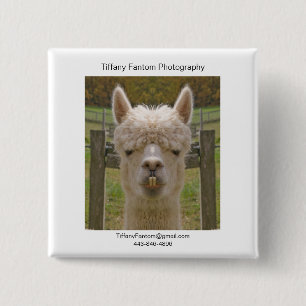 Alpaca Promo Piece 2 Inch Square Button