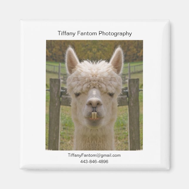 Alpaca Promo Piece Magnet (Front)
