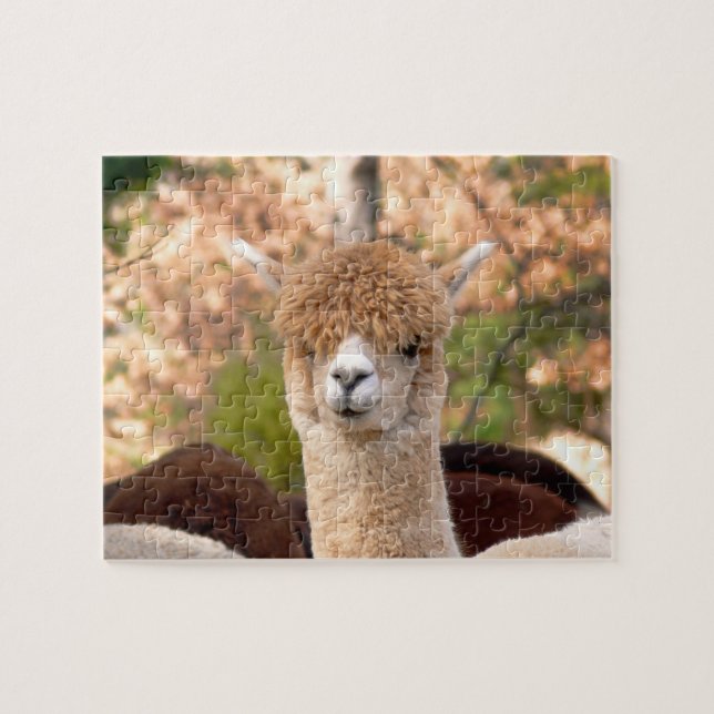 Alpaca Puzzles with Gift Box (Horizontal)