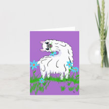 Alpaca Silliness
