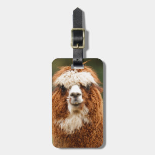 Alpaca Smiles Luggage Tag