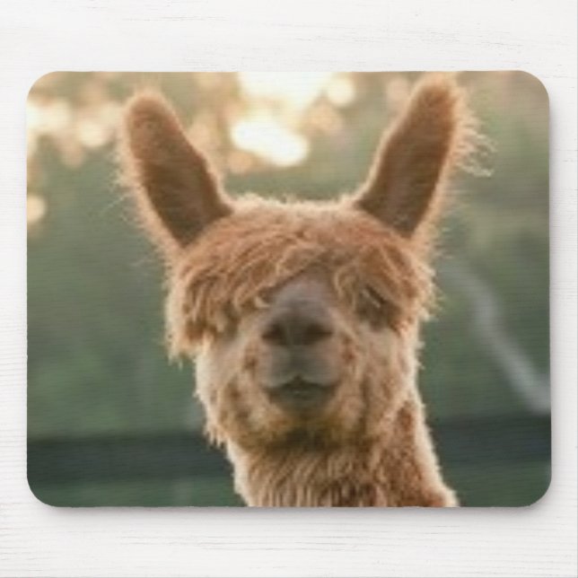 Alpaca Smiling Mouse Pad (Front)