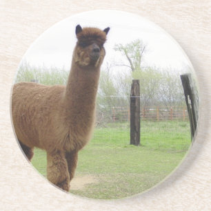 Alpaca stud coaster