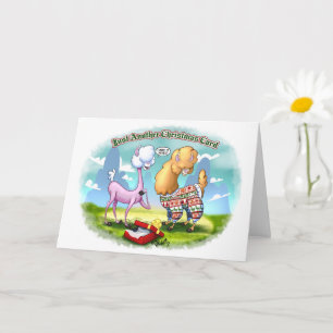 ALPACA SWEATER (matte) by Jeff Willis Art Card