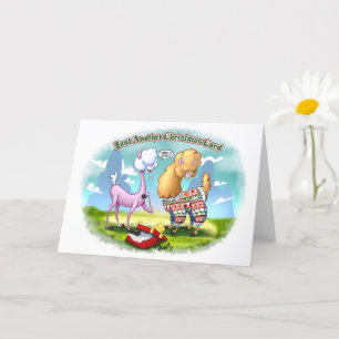 ALPACA SWEATER (semi-gloss) by Jeff Willis Art Card