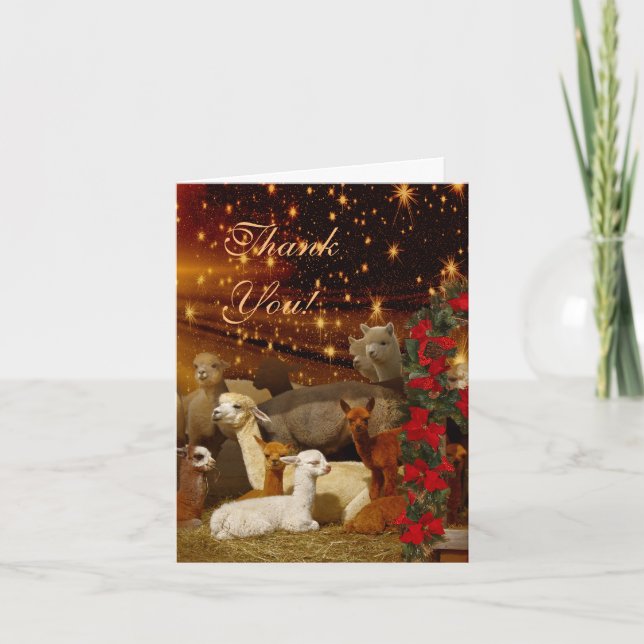 Alpaca Thank You Christmas Note Cards (Front)