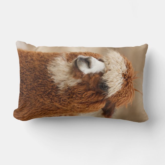 Alpaca throw pillow (Front)