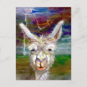 Alpaca - Uncle Glen  postcard
