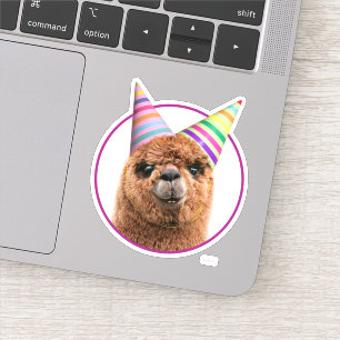 Alpaca Wearing Party Hats
