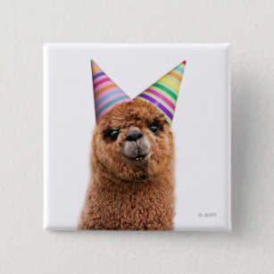 Alpaca Wearing Party Hats 2 Inch Square Button