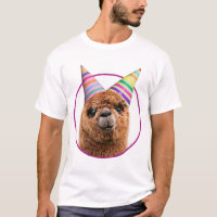 Alpaca Wearing Party Hats