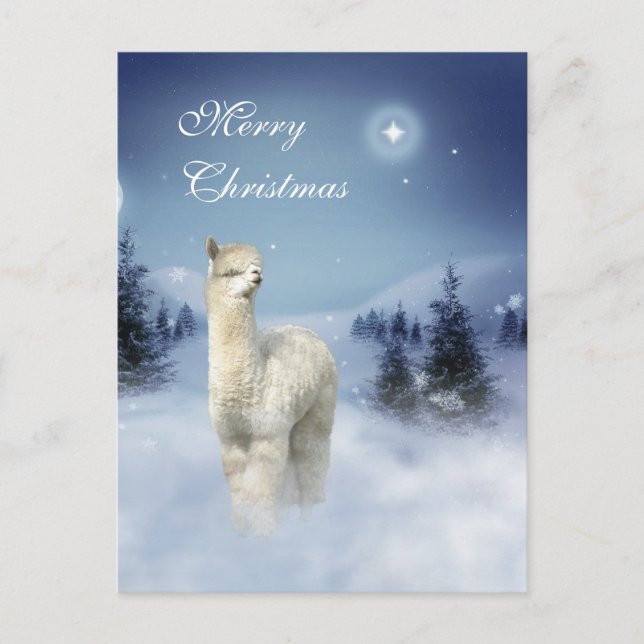 Alpaca Winter Night Christmas Postcards (Front)