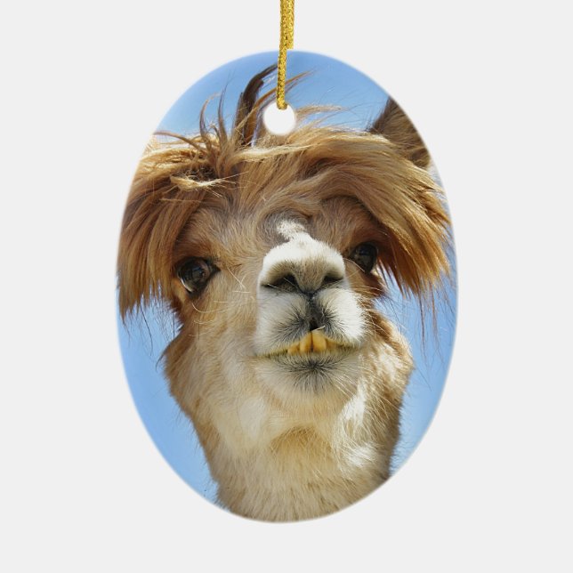 Alpaca with Crazy Hair Ceramic Ornament (Front)