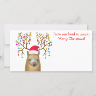 Alpaca Xmas Photo Card