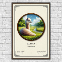 Alpaca Zoology Series