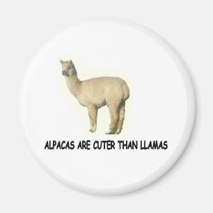 Alpacas are cuter than llamas magnet